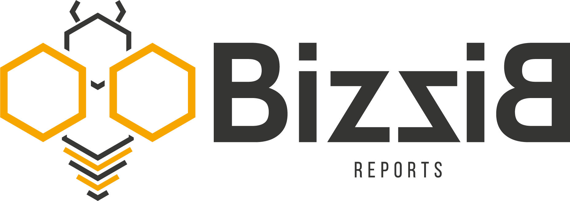 Bizzi-B